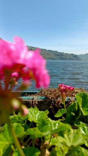 Jardín Paraíso